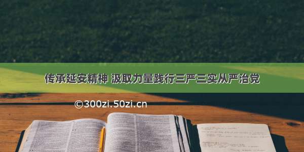 传承延安精神 汲取力量践行三严三实从严治党