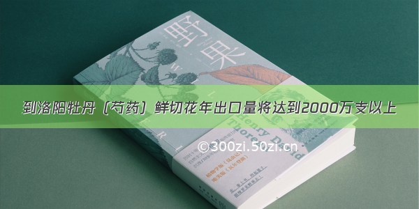 到洛阳牡丹（芍药）鲜切花年出口量将达到2000万支以上