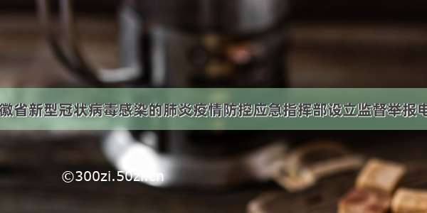 安徽省新型冠状病毒感染的肺炎疫情防控应急指挥部设立监督举报电话