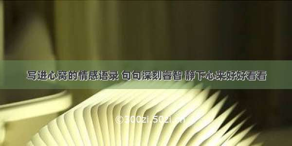 写进心窝的情感语录 句句深刻睿智 静下心来好好看看