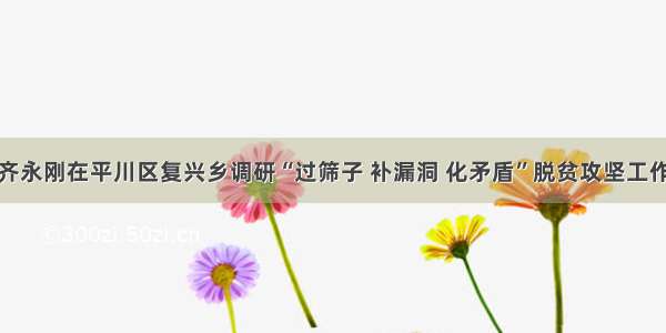 齐永刚在平川区复兴乡调研“过筛子 补漏洞 化矛盾”脱贫攻坚工作