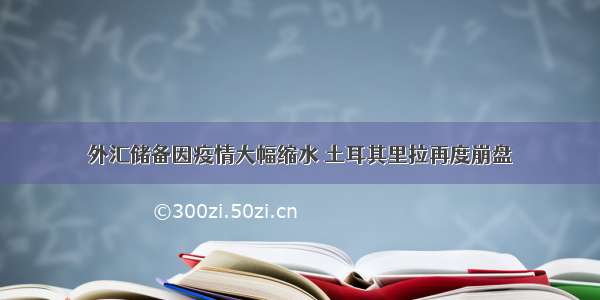 外汇储备因疫情大幅缩水 土耳其里拉再度崩盘