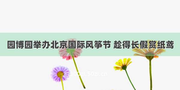 园博园举办北京国际风筝节 趁得长假赏纸鸢