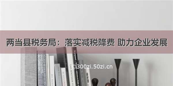 两当县税务局：落实减税降费 助力企业发展