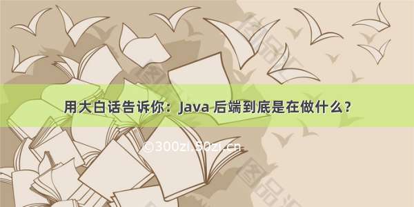 用大白话告诉你：Java 后端到底是在做什么？