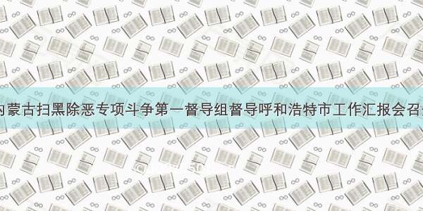 内蒙古扫黑除恶专项斗争第一督导组督导呼和浩特市工作汇报会召开