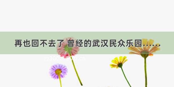 再也回不去了 曾经的武汉民众乐园……