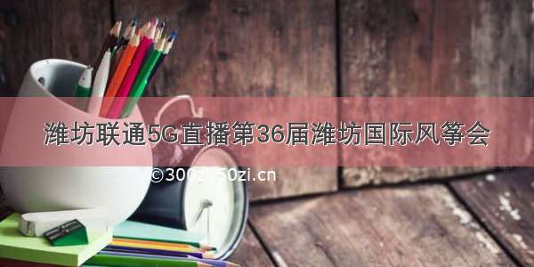潍坊联通5G直播第36届潍坊国际风筝会