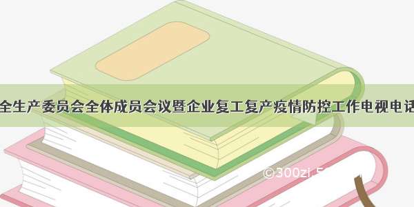 苏仙区安全生产委员会全体成员会议暨企业复工复产疫情防控工作电视电话会议召开