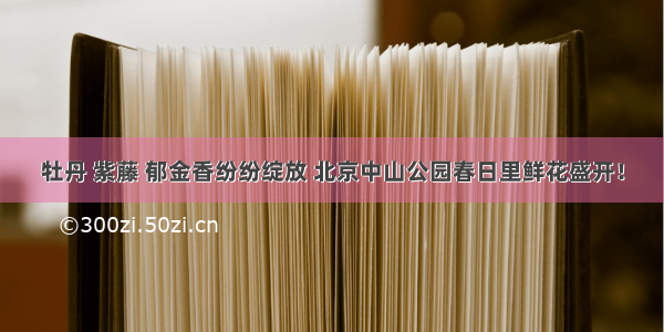 牡丹 紫藤 郁金香纷纷绽放 北京中山公园春日里鲜花盛开！