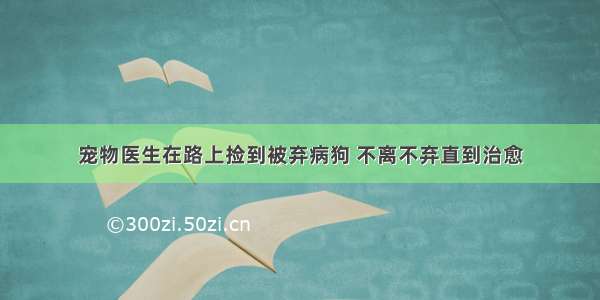 宠物医生在路上捡到被弃病狗 不离不弃直到治愈