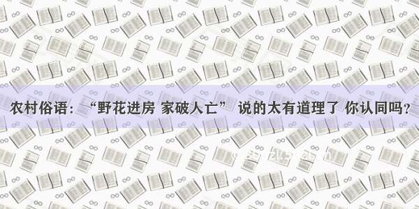 农村俗语：“野花进房 家破人亡” 说的太有道理了 你认同吗？