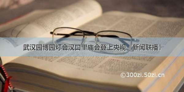 武汉园博园灯会汉口里庙会登上央视《新闻联播》