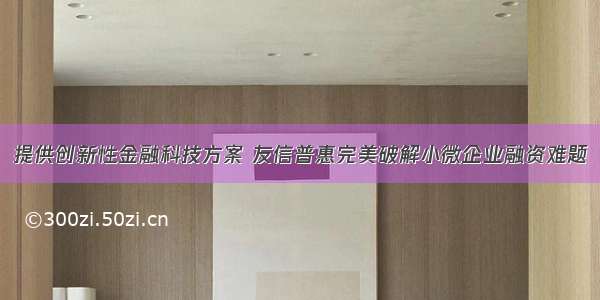 提供创新性金融科技方案 友信普惠完美破解小微企业融资难题