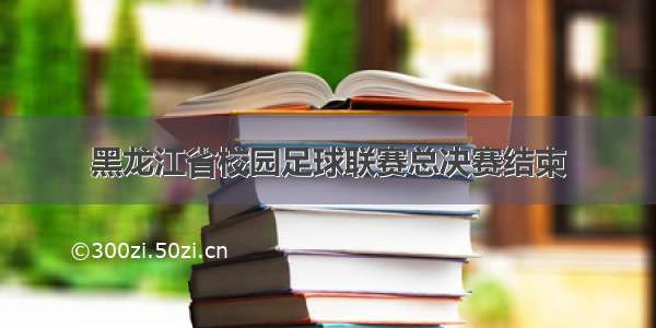 黑龙江省校园足球联赛总决赛结束