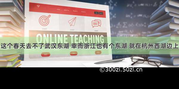 这个春天去不了武汉东湖 幸而浙江也有个东湖 就在杭州西湖边上