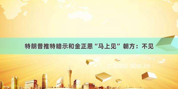 特朗普推特暗示和金正恩“马上见” 朝方：不见