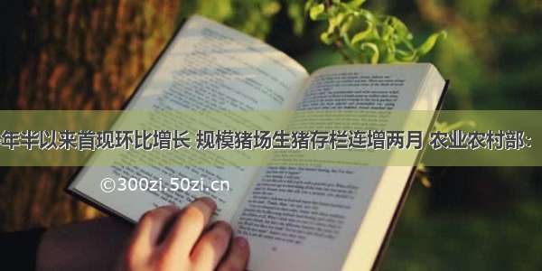 能繁母猪一年半以来首现环比增长 规模猪场生猪存栏连增两月 农业农村部：生猪各项生