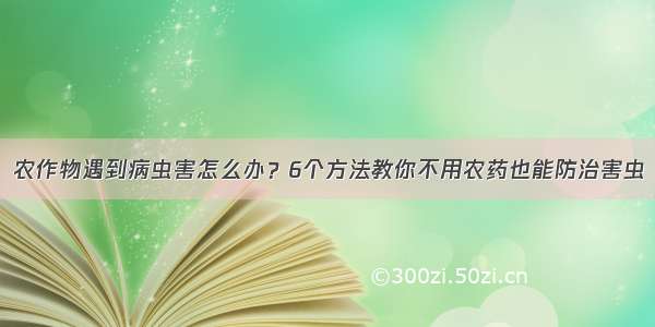 农作物遇到病虫害怎么办？6个方法教你不用农药也能防治害虫