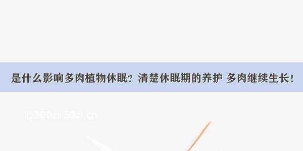 是什么影响多肉植物休眠？清楚休眠期的养护 多肉继续生长！