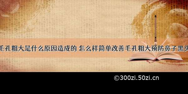 毛孔粗大是什么原因造成的 怎么样简单改善毛孔粗大预防鼻子黑头