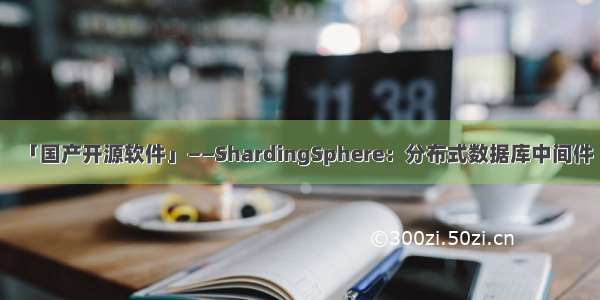 「国产开源软件」——ShardingSphere：分布式数据库中间件