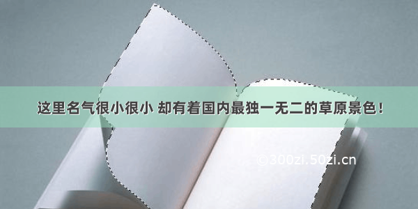 这里名气很小很小 却有着国内最独一无二的草原景色！