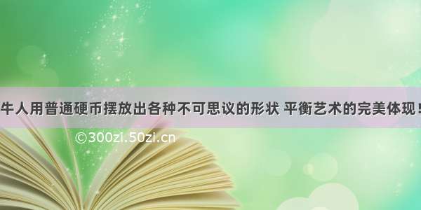 牛人用普通硬币摆放出各种不可思议的形状 平衡艺术的完美体现！