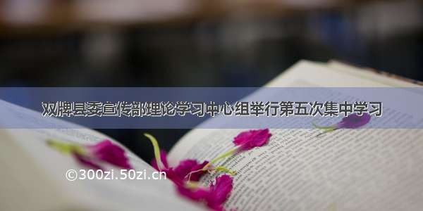 双牌县委宣传部理论学习中心组举行第五次集中学习