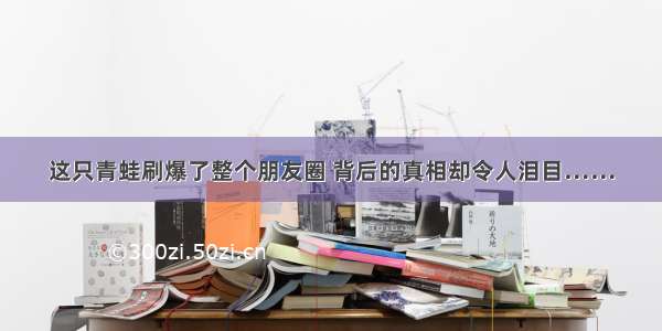 这只青蛙刷爆了整个朋友圈 背后的真相却令人泪目……