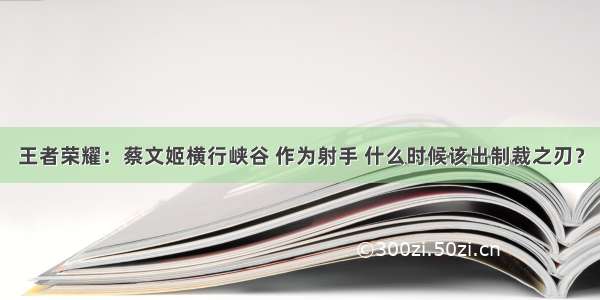 王者荣耀：蔡文姬横行峡谷 作为射手 什么时候该出制裁之刃？