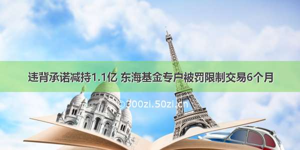 违背承诺减持1.1亿 东海基金专户被罚限制交易6个月