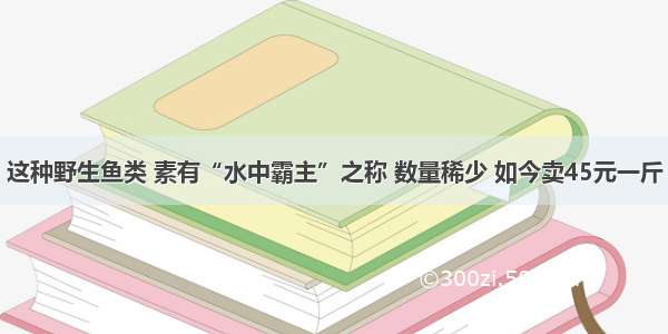 这种野生鱼类 素有“水中霸主”之称 数量稀少 如今卖45元一斤