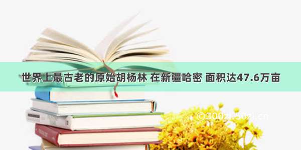 世界上最古老的原始胡杨林 在新疆哈密 面积达47.6万亩