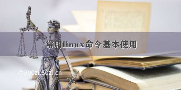 常用linux命令基本使用