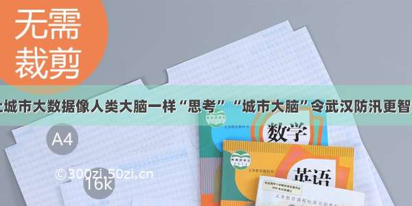 让城市大数据像人类大脑一样“思考” “城市大脑”令武汉防汛更智慧