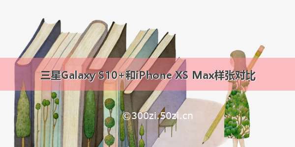三星Galaxy S10+和iPhone XS Max样张对比