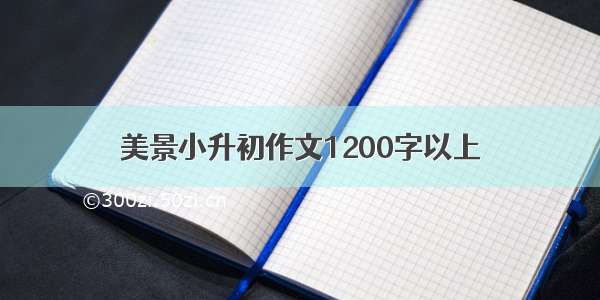 美景小升初作文1200字以上