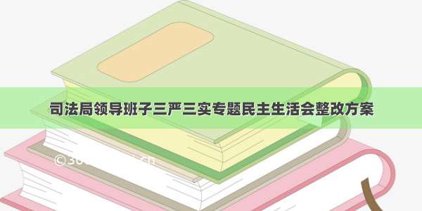 司法局领导班子三严三实专题民主生活会整改方案