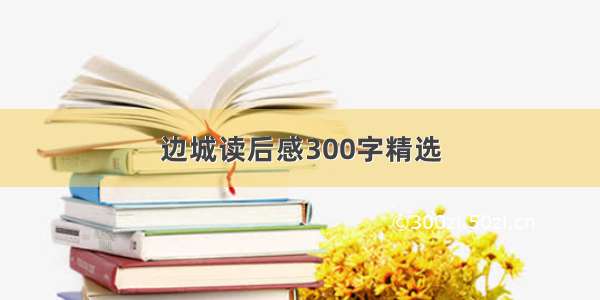 边城读后感300字精选