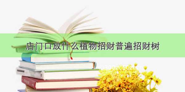 店门口放什么植物招财普遍招财树