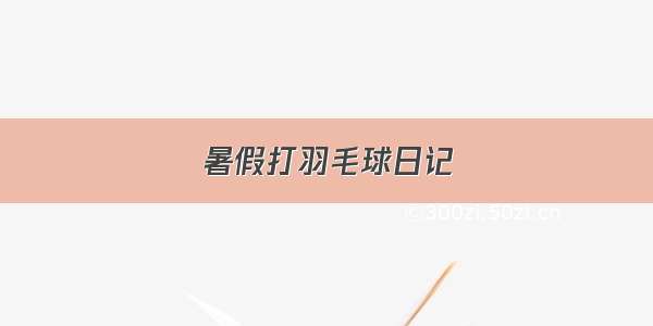 暑假打羽毛球日记