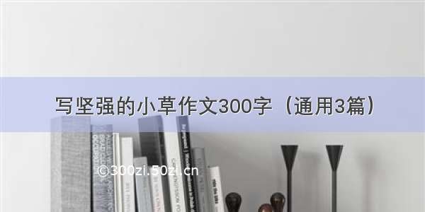 写坚强的小草作文300字（通用3篇）