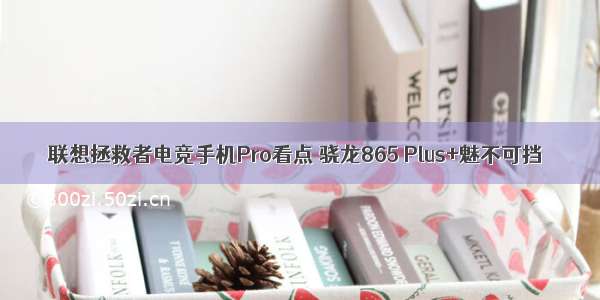 联想拯救者电竞手机Pro看点 骁龙865 Plus+魅不可挡