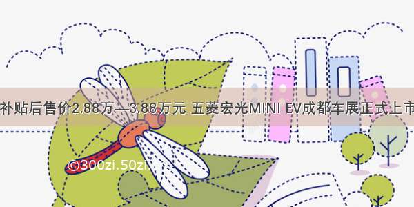 补贴后售价2.88万—3.88万元 五菱宏光MINI EV成都车展正式上市