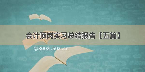 会计顶岗实习总结报告【五篇】