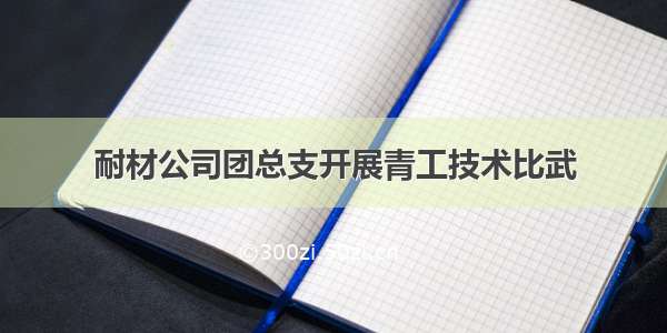 耐材公司团总支开展青工技术比武