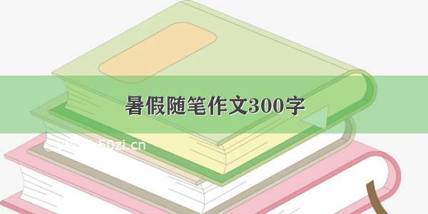 暑假随笔作文300字