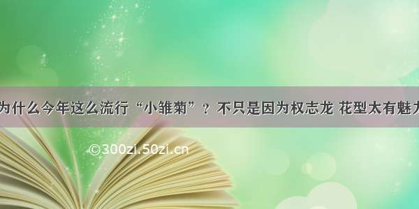 为什么今年这么流行“小雏菊”？不只是因为权志龙 花型太有魅力