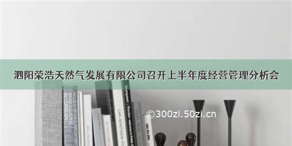 泗阳荣浩天然气发展有限公司召开上半年度经营管理分析会